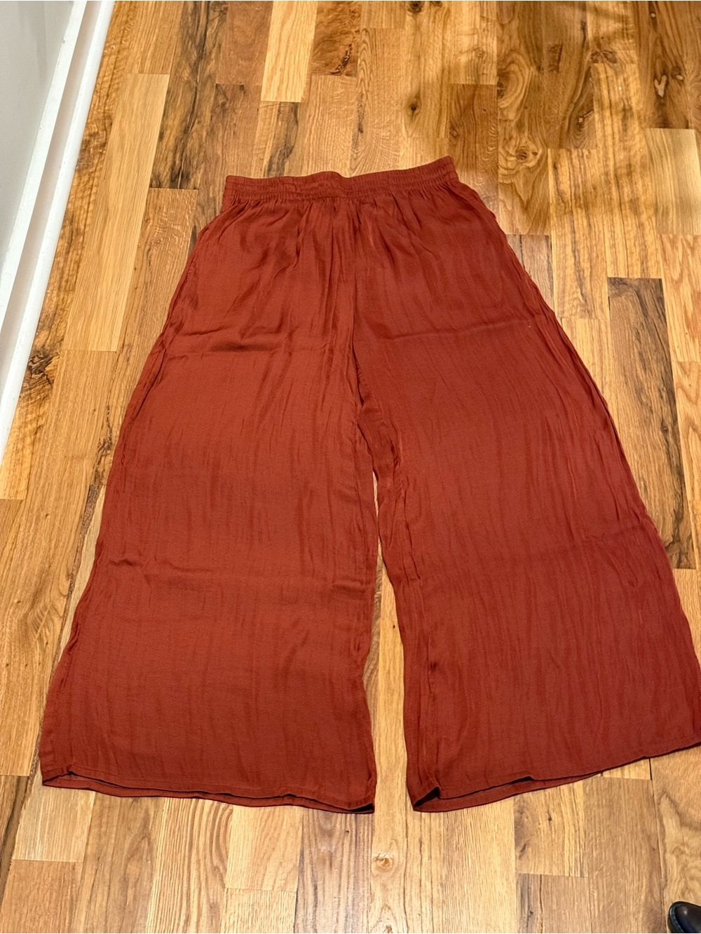 Windsor Rust-Toned Elastic Waist Wide Leg Pants